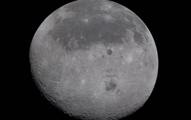 ayi-bele-yaxindan-gormemisiniz