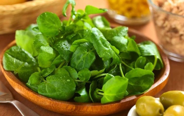 dunyanin-en-saglam-terevezi-secildi