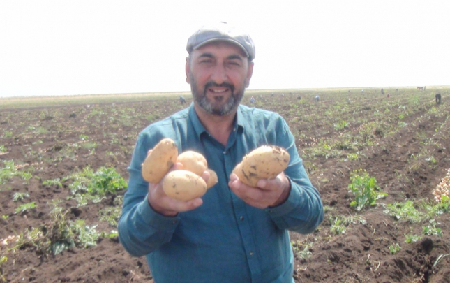 aldiqlari-kartofun-pulunu-vermediler-300-min-manat-ziyandayiq