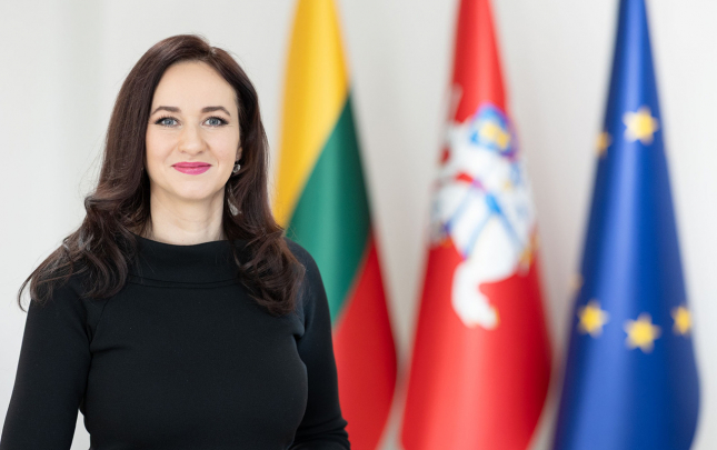 litvanin-bas-naziri-azerbaycana-gelir