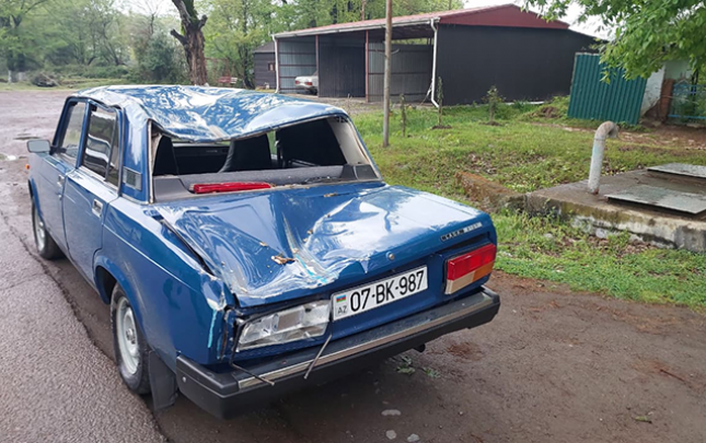 agac-hereketde-olan-masinin-ustune-asdi