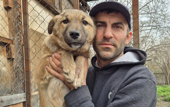 siginacaq-dagilsa-400-itin-taleyi-nece-olacaq