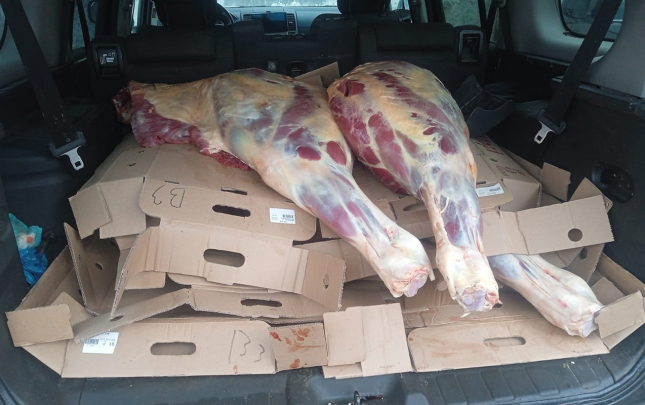 bilesuvardan-bakiya-227-kq-at-eti-aparmaq-istedi