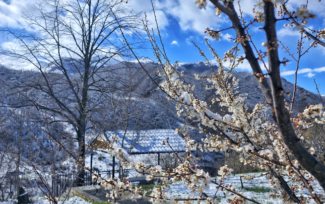 bu-rayonlara-qar-yagib