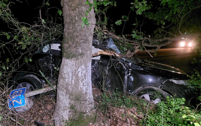 lenkeranda-masin-agaca-cirpildi