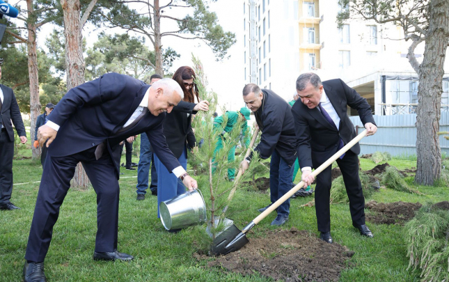 xetai-rayonunda-kecirilen-agacekme-aksiyasindan