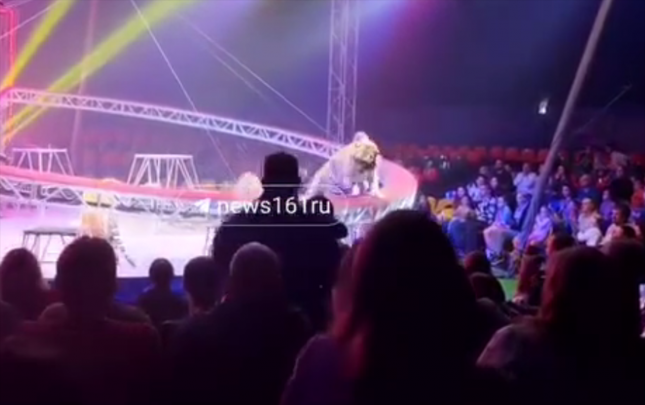 rusiyada-sirkde-peleng-tamasacilarin-oturdugu-zonaya-girdi