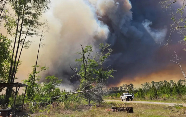 corciyada-mese-yanginlari