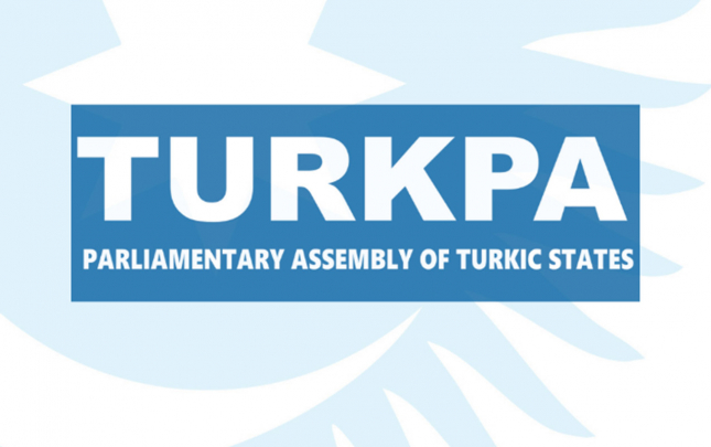 turkpa-ermenistanda-turkiye-bayraginin-yandirilmasini-qinadi