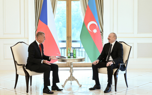 prezident-cexiya-bas-naziri-ile-tekbetek-gorusdu