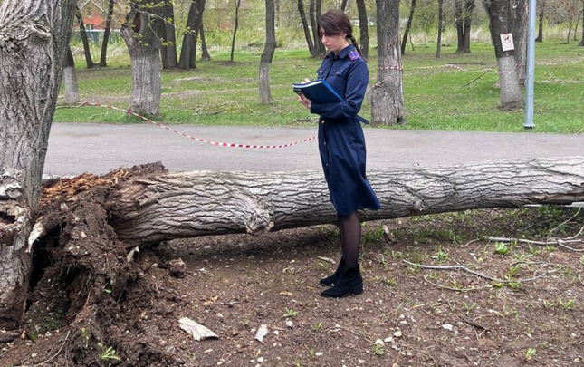 rusiyada-qasirga-neticesinde-olen-ve-yaralananlar-var