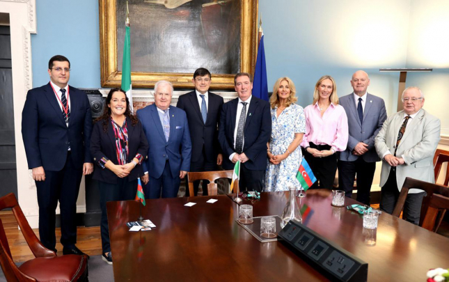 irlandiya-ile-diaspor-elaqelerinin-guclendirilmesi-muzakire-olundu