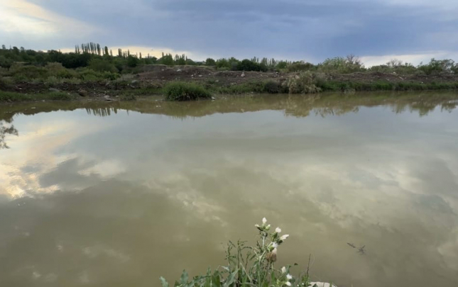 golde-iki-usaq-boguldu