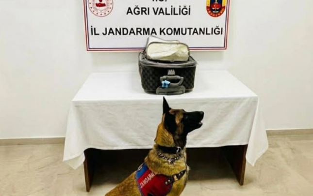 turkiyede-azerbaycan-vetendasindan-kulli-miqdarda-narkotik-goturuldu