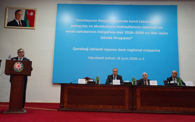 taxilin-boyuk-hissesi-bu-rayonlarda-istehsal-olunur