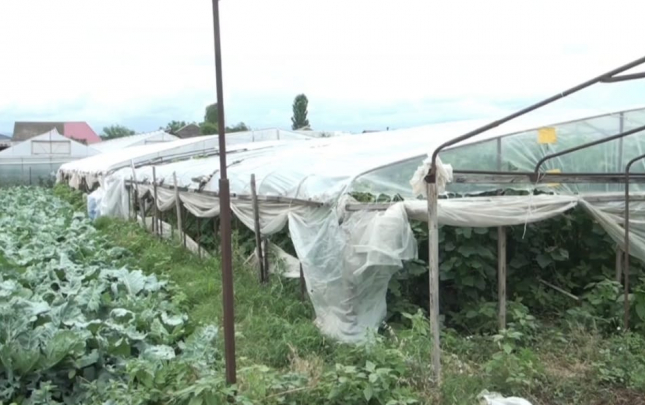 Heyvanları ildırım vurdu, istixanaları külək dağıtdı  – Fotolar</b>