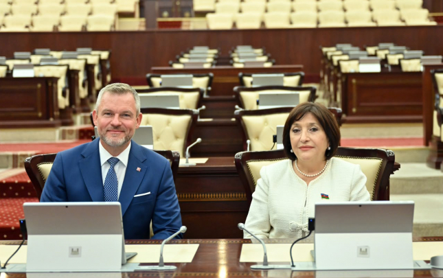 Sahibə Qafarova Pelleqrini ilə görüşüb  – Foto