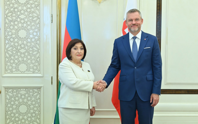 sahibe-qafarova-pelleqrini-ile-gorusub