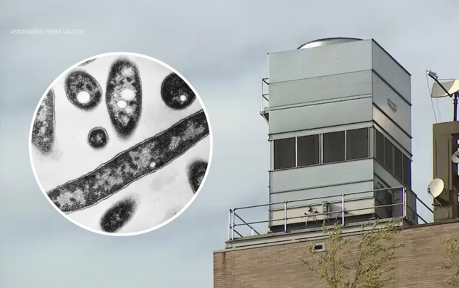 nyu-yorkda-qorxulu-virusdan-ikinci-olum