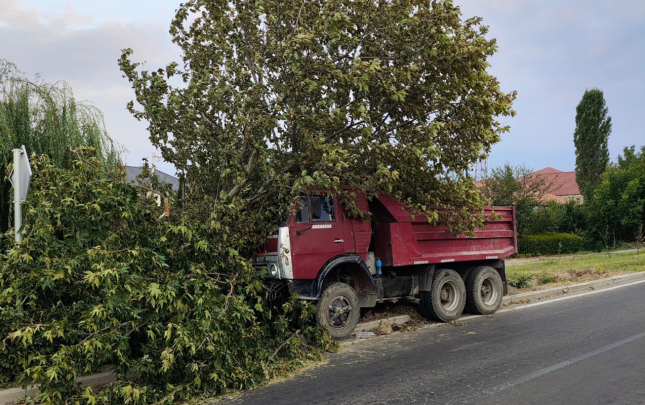 Gəncədə qəza  –  “Kamaz” ağaca çırpıldı+Fotolar