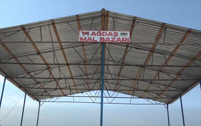 agdasdaki-mal-bazari-yeniden-acildi