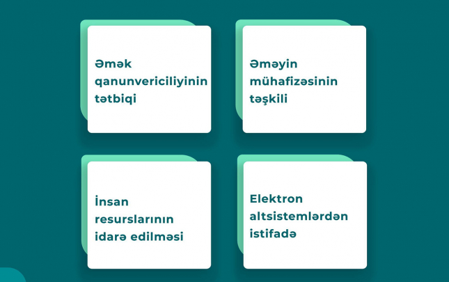 “DOST Müfəttiş” layihəsi işəgötürənlərə necə dəstək göstərir?