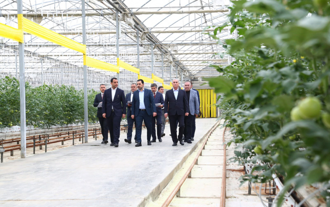 haciqabulda-dovlet-proqraminin-icrasi-yerlerde-oyrenildi
