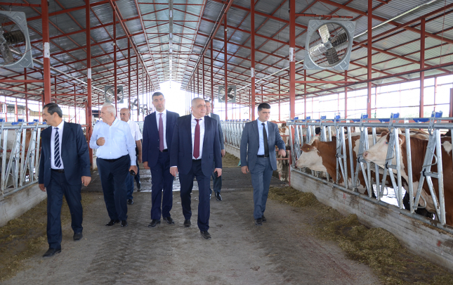 kurdemirde-aqroparklarda-ve-iri-fermer-teserrufatlarinda-monitorinq