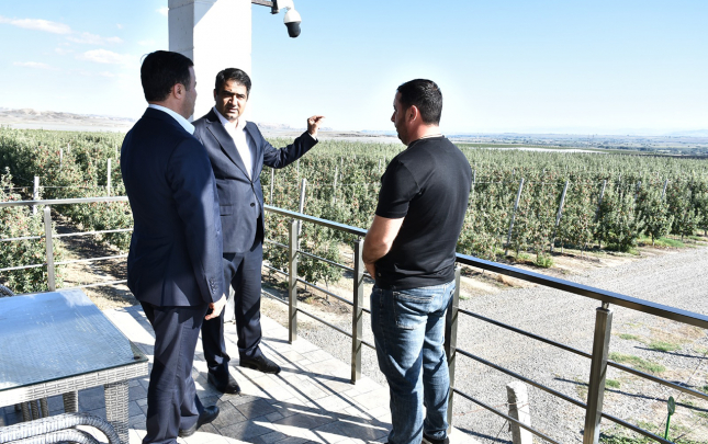 agstafada-aqropark-ve-iri-fermer-teserrufatlarinda-monitorinq-aparilib