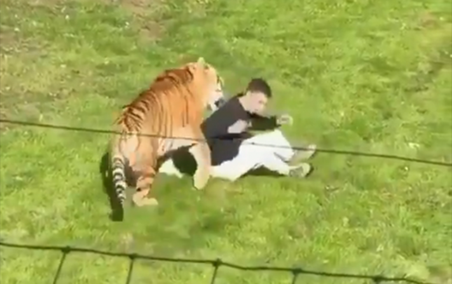 ingilterede-zooparkda-peleng-kisiye-hucum-etdi