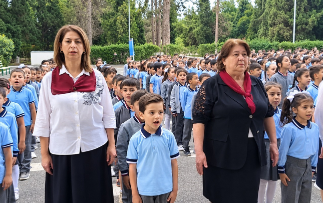 hami-intizamli-seliqeli-ve-vahid-formada