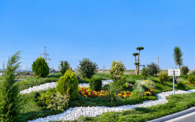 sumqayitda-genismiqyasli-abadliq-ve-yasillasdirma-isleri-aparilir