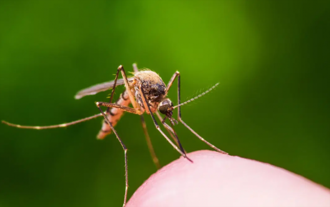 ilk-defe-insanda-askarlanan-virus-olume-sebeb-oldu