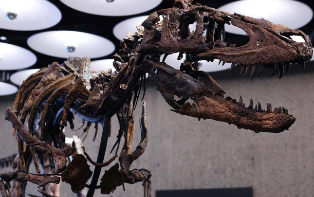 9-milyon-gozleyirdiler-herracda-473-milyona-satildi