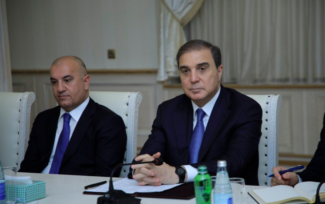gencede-sahibkarlarla-gorus-kecirilib
