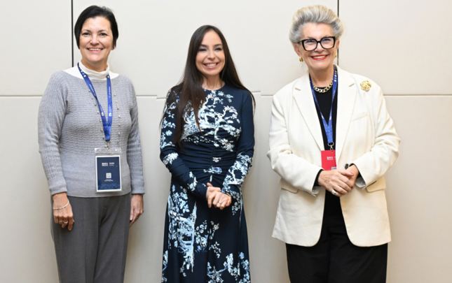 leyla-eliyeva-unesco-nun-bas-direktorunun-muavini-ile-gorusdu