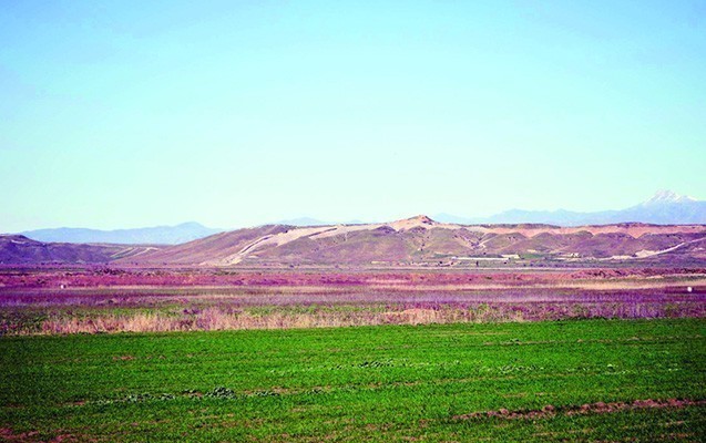 cocuq-mercanlidan-son