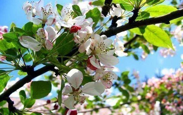 temperatur-26-dereceye-catacaq