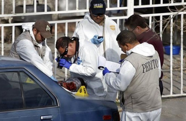 meksikada-jurnalist-gullelenib