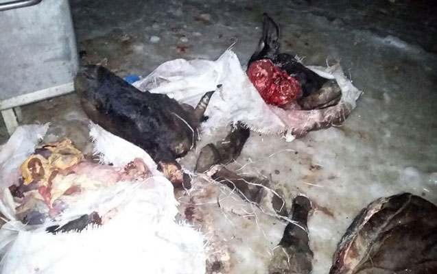 qmi-nin-halalliq-verdiyi-sirketden-aciqlama