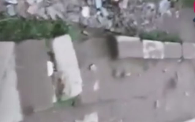 bu-yol-bagca-yoludur