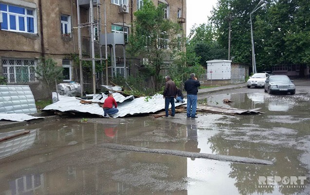 guclu-kulek-daha-bir-rayona-problem-yaratdi
