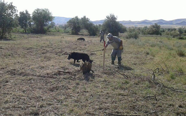 cocuq-mercanlida-tank-eleyhine-raket-tapilib