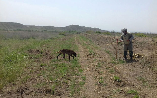 cocuq-mercanlida-temizleme-basa-catdi