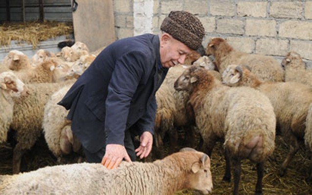 bu-yerlerde-heyvan-kesmek-olmaz