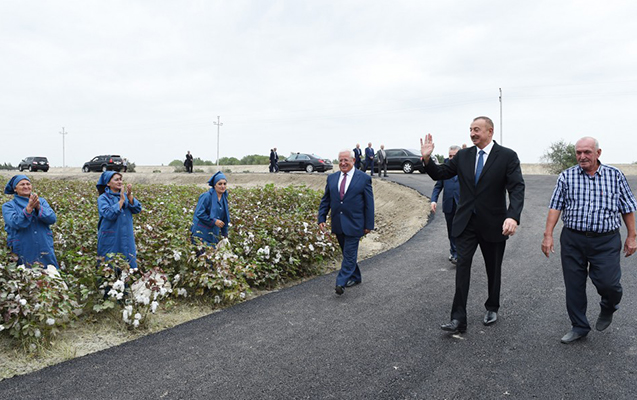 prezident-haciyevin-pambiq-sahesinde