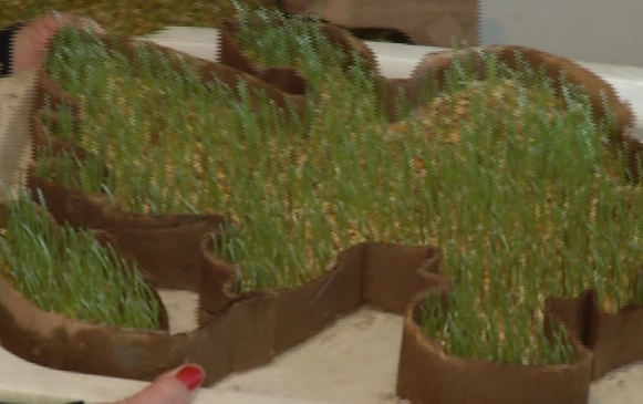 azerbaycanin-dovlet-xeritesi-semeni-formasinda