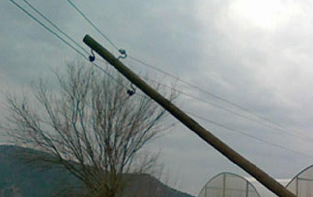 guclu-kulek-elektrik-direklerini-asirdi