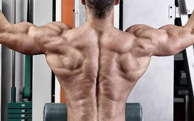 protein-kime-zererlidir