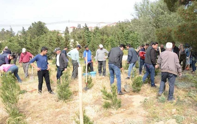 dostluq-parkinda-imeclik